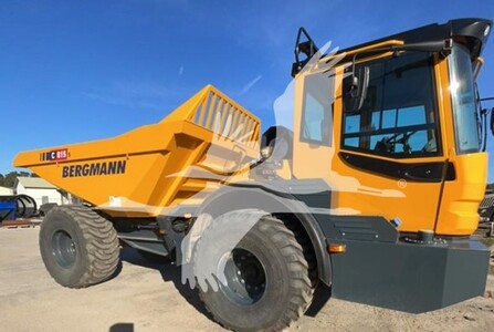 2024 BERGMANN C815S DT8673